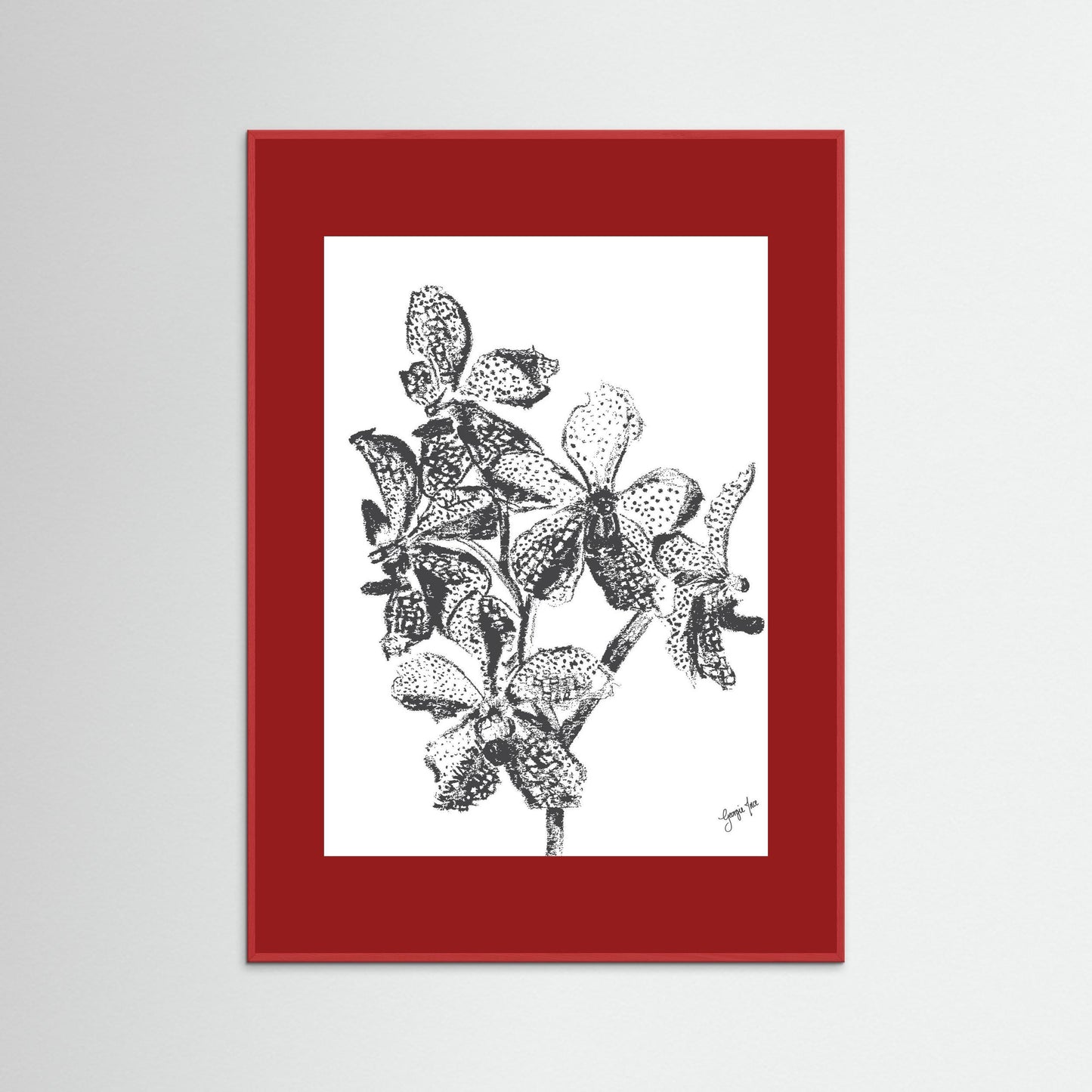 Red Orchid Pencil Drawing