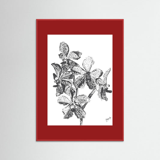 Red Orchid Pencil Drawing