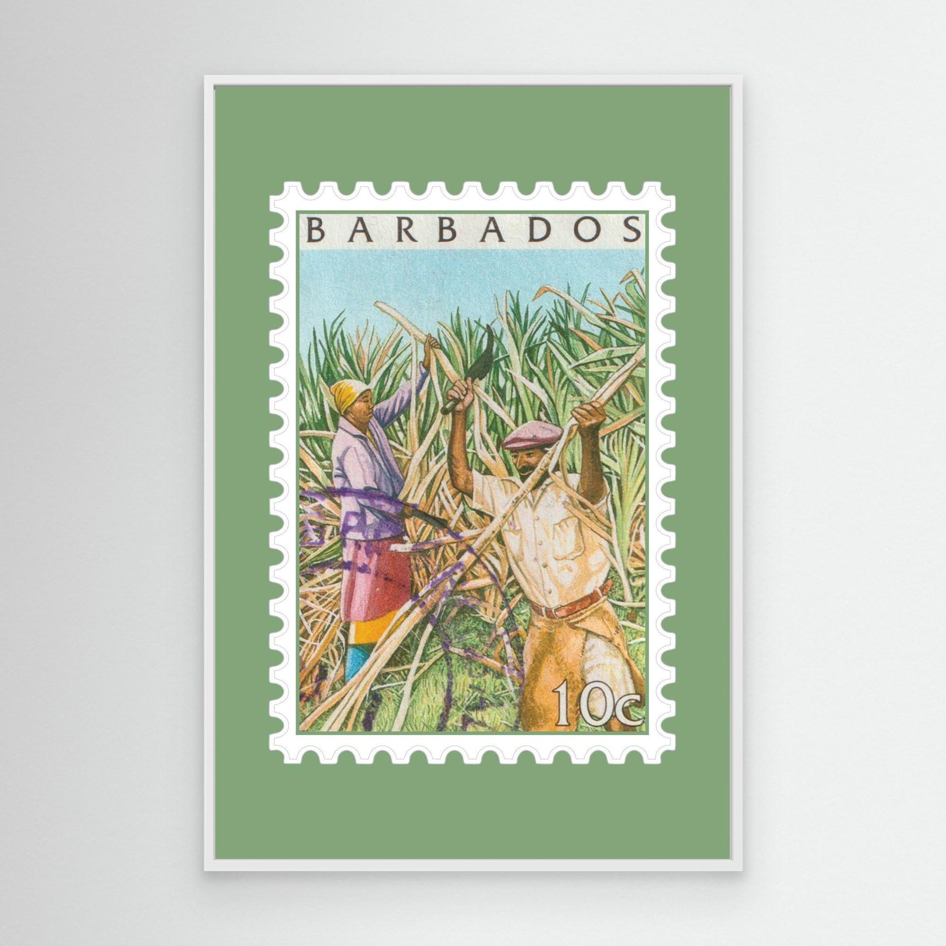 Framed Cutting Cane 2000 Stamp