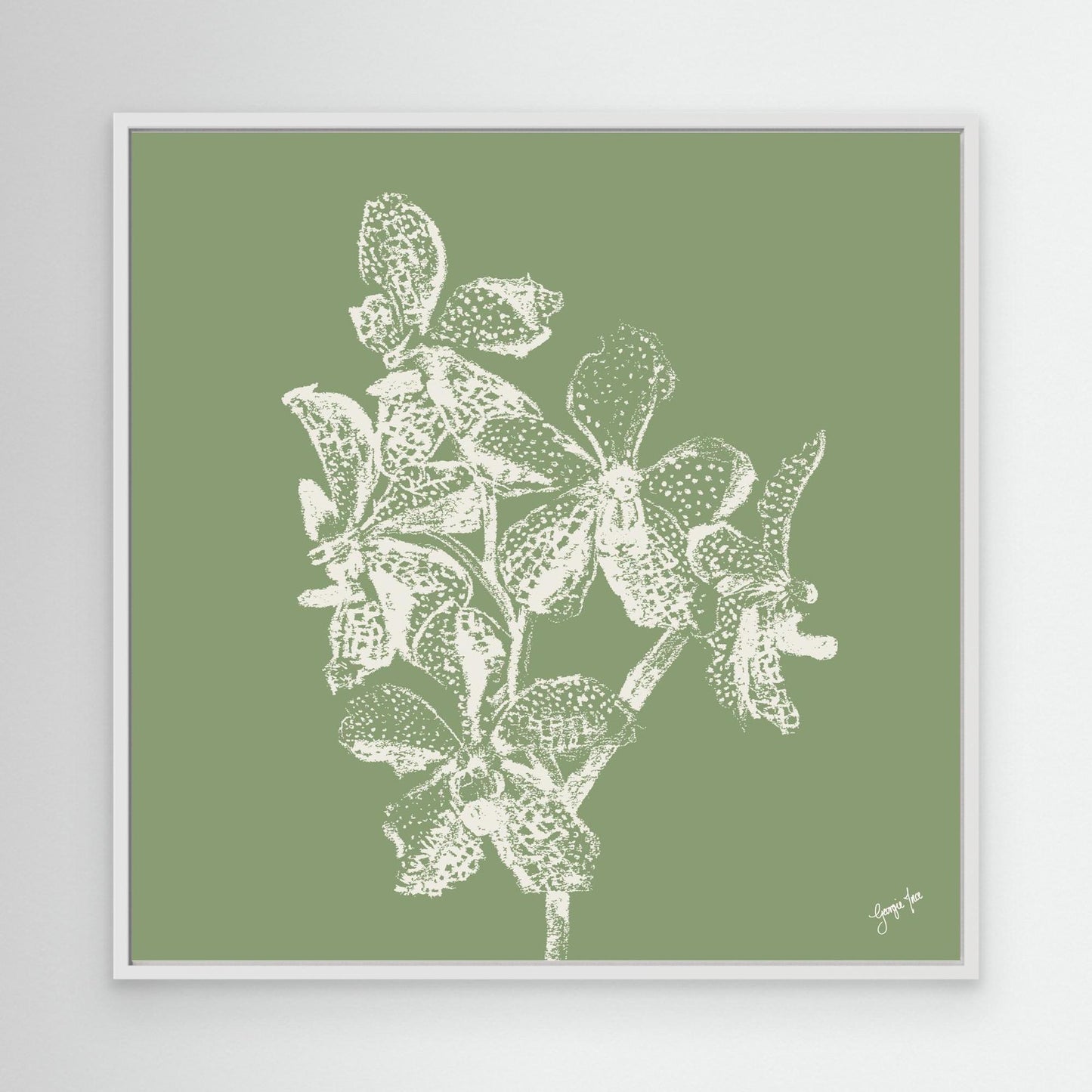 Green Orchid Art Print - Framed Canvas Print