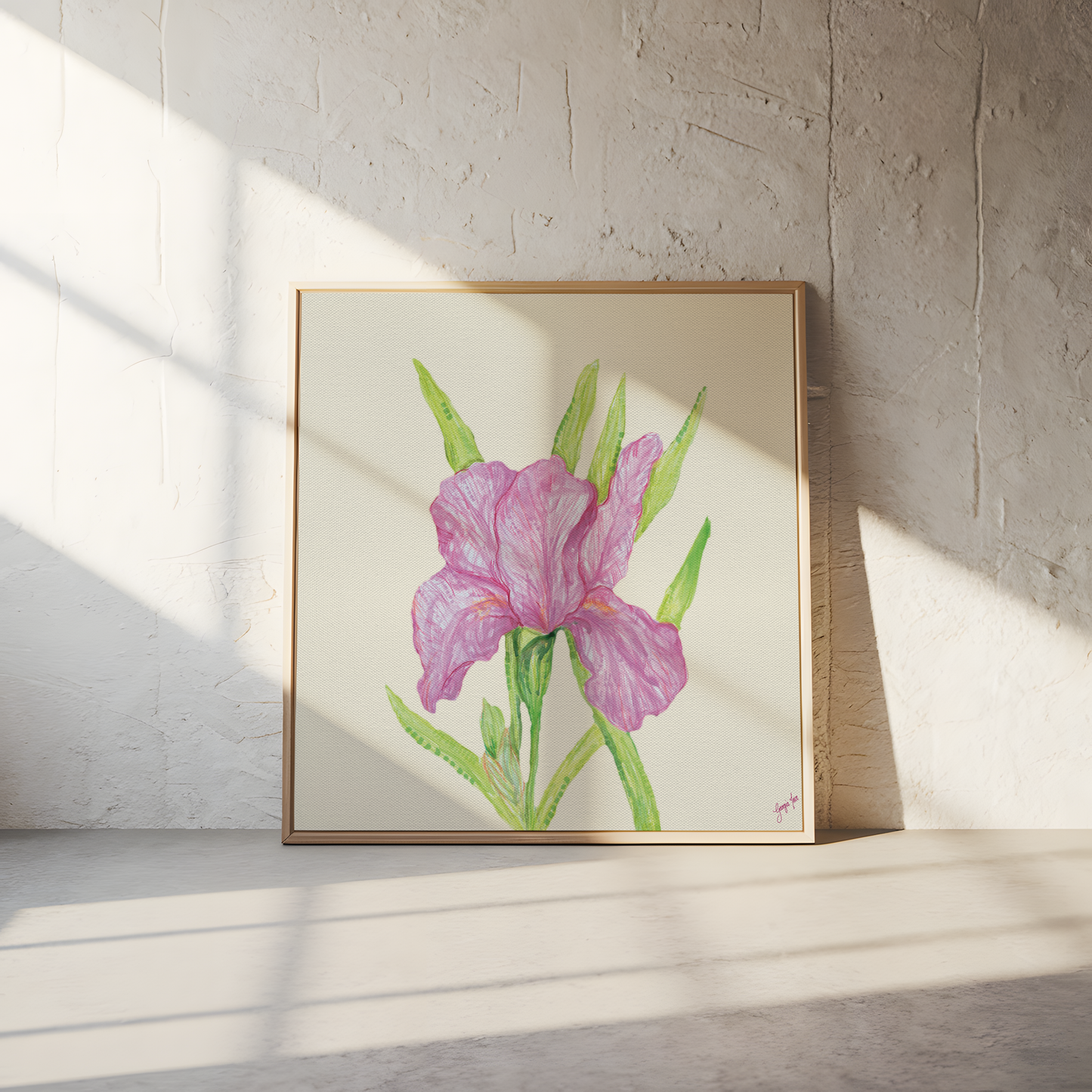 Pink Iris - Framed Giclée Canvas Print