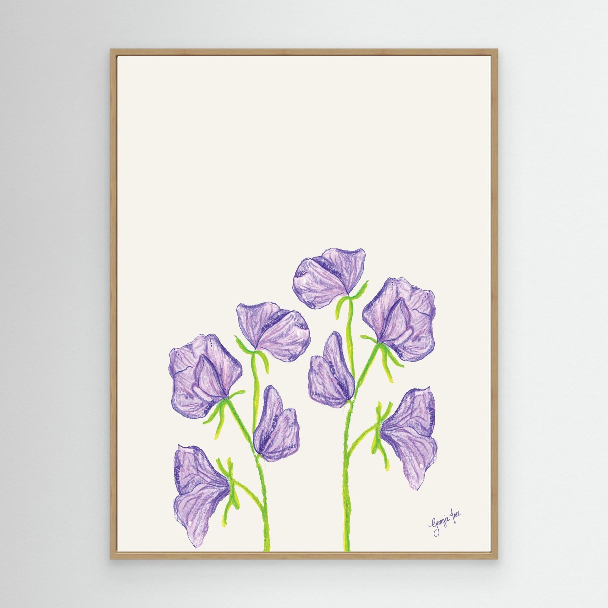 Purple Sweat Pea Flower