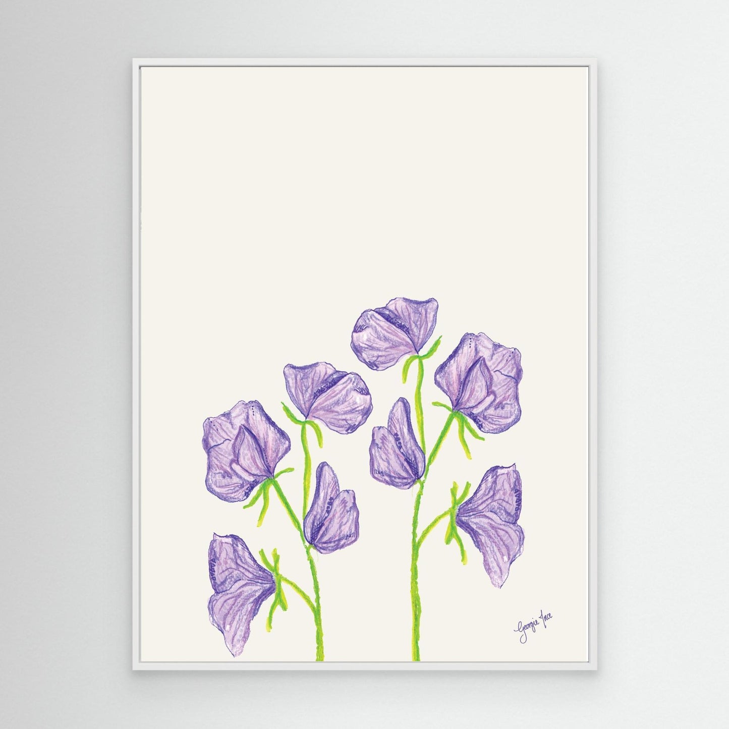Purple Sweat Pea Flower