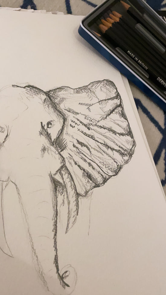 Pencil elephant drawing