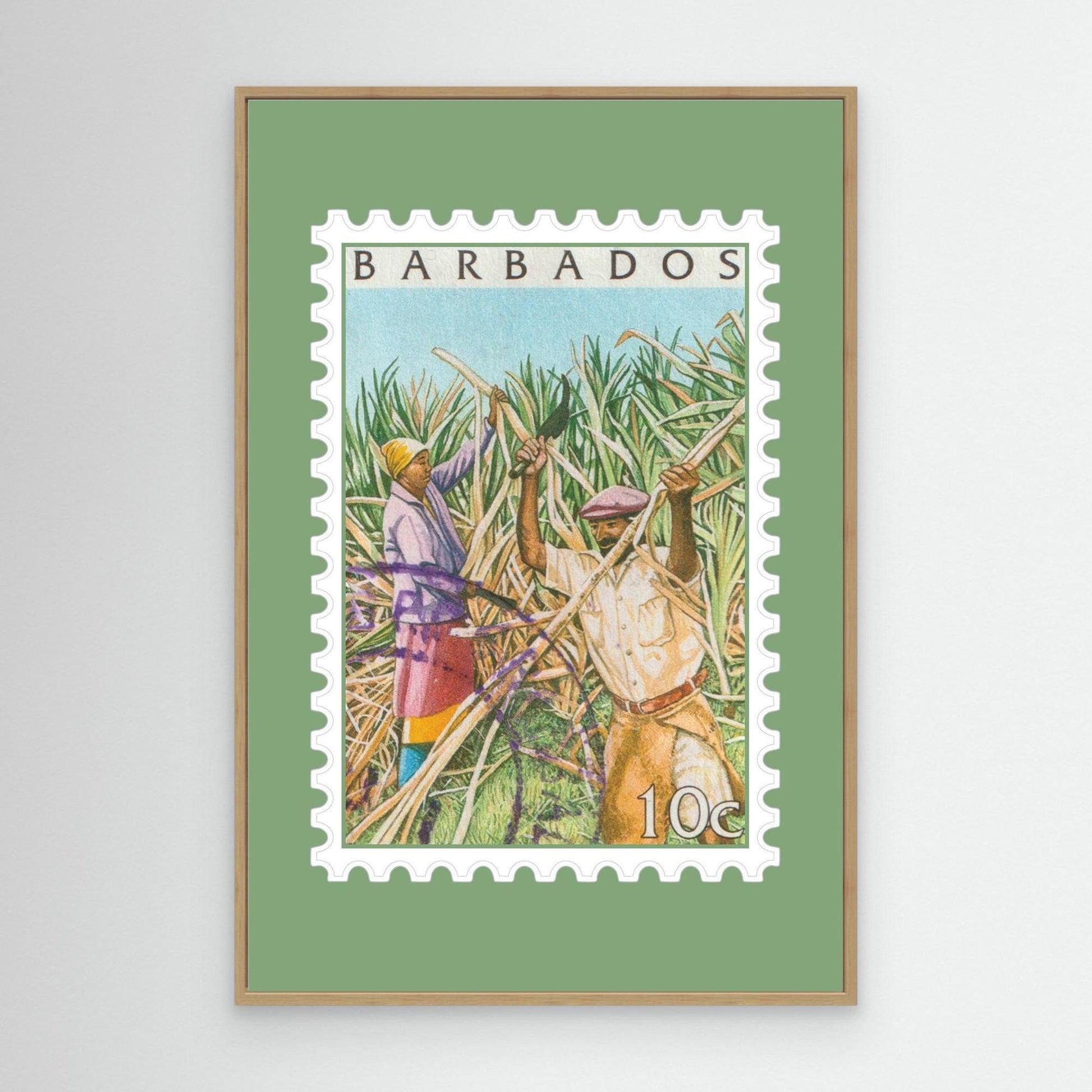 Framed Cutting Cane 2000 Stamp