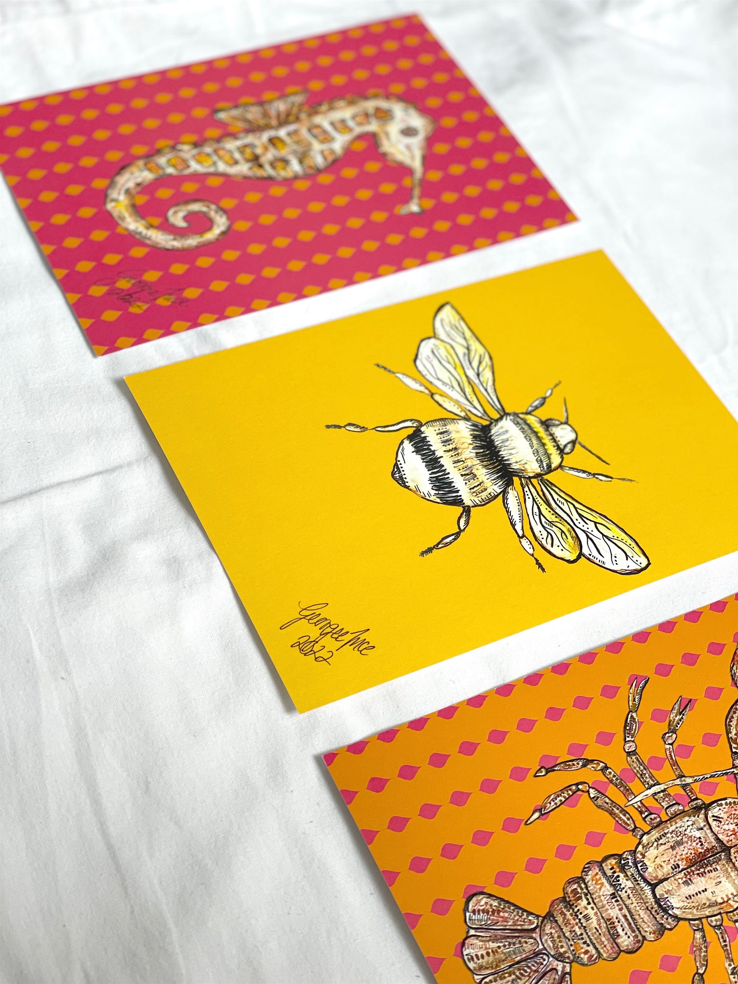 Set of three prints | Seahorse, Bee and Lobster A5 prints