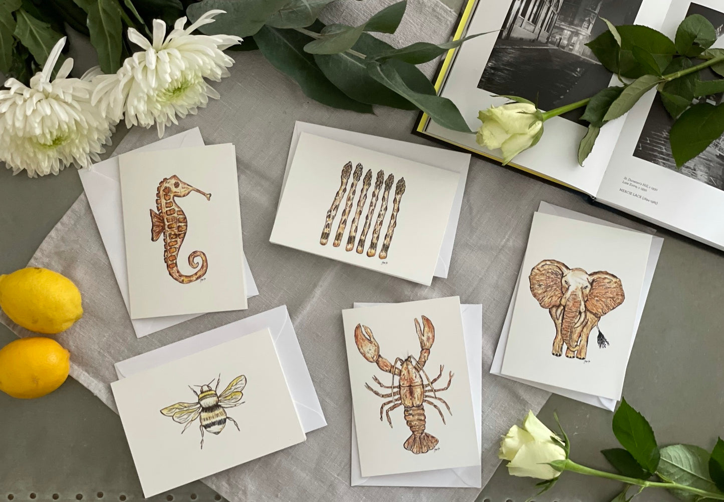 A selection of 5 x A6 greeting cards including a bee, elephant, seahorse, lobster and asparagus.