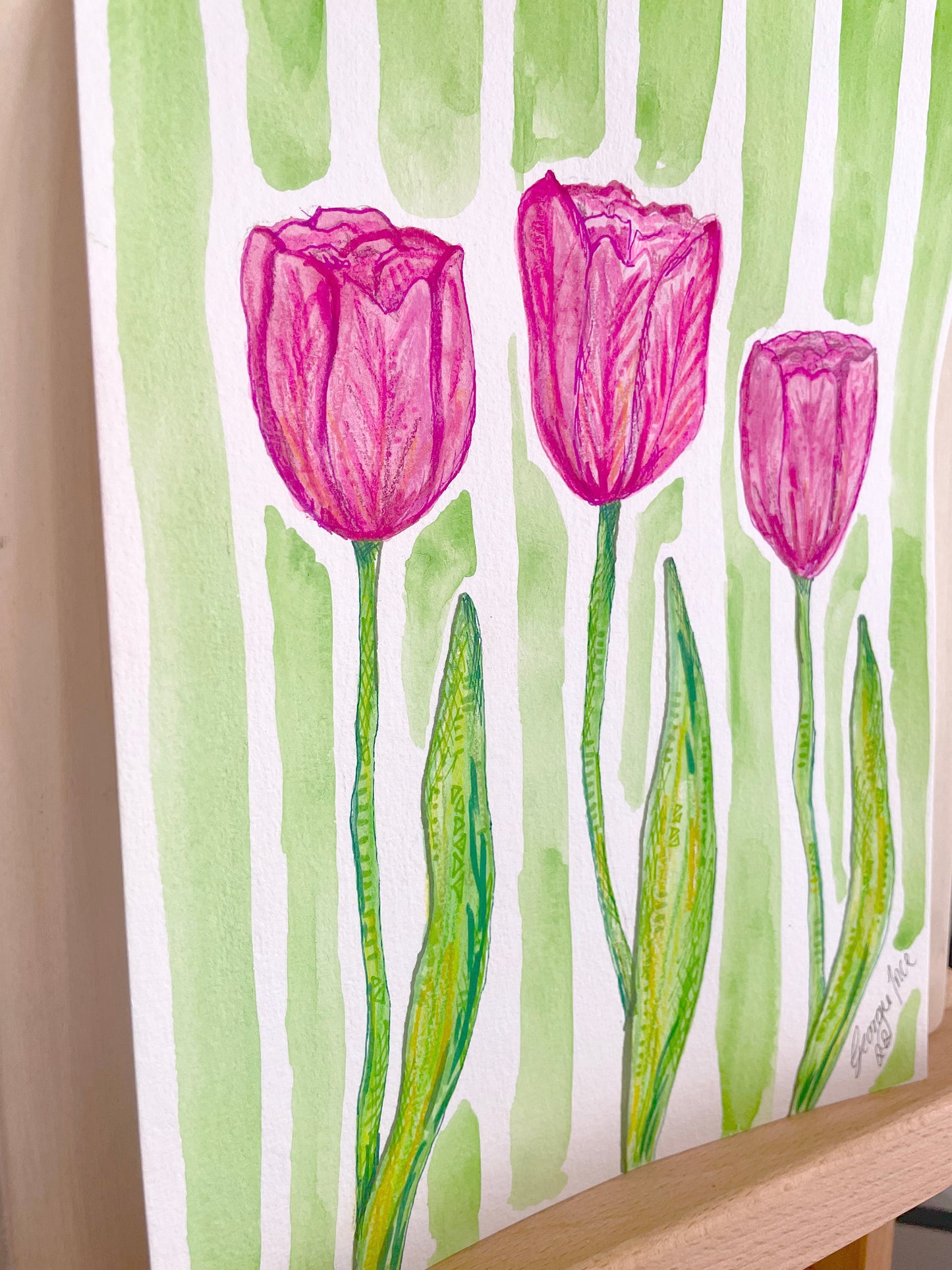 Original watercolour pink tulips with a green stripe background. 