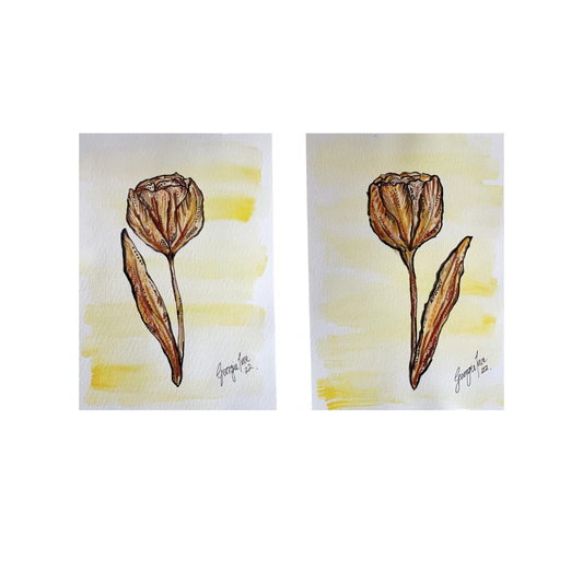 Original Tulip pair