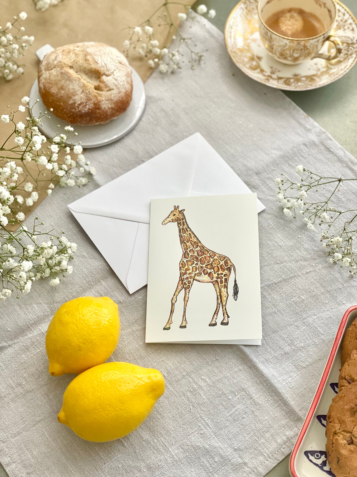 A collection of giraffe illustration blank cards for your own personal message.